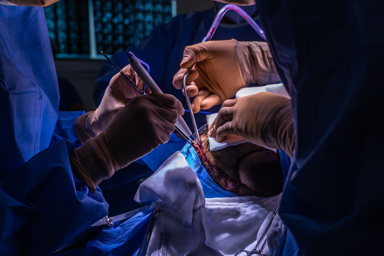 Celia Teresa De Jesús Álvarez Gamiño-5