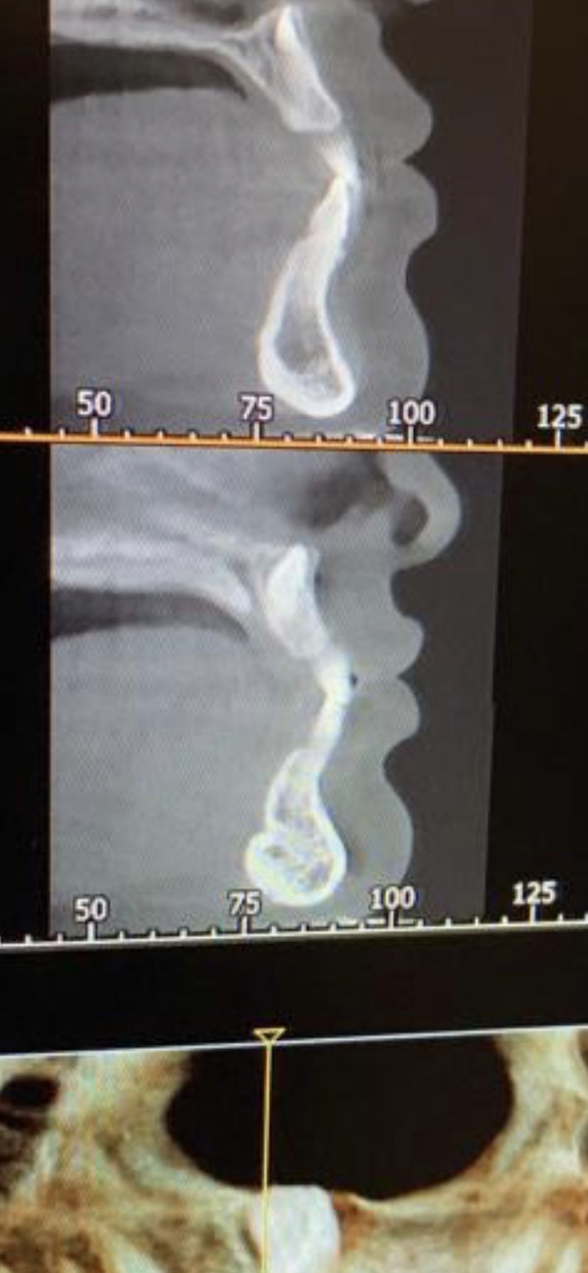 María Teresa Gómez Serrano-9