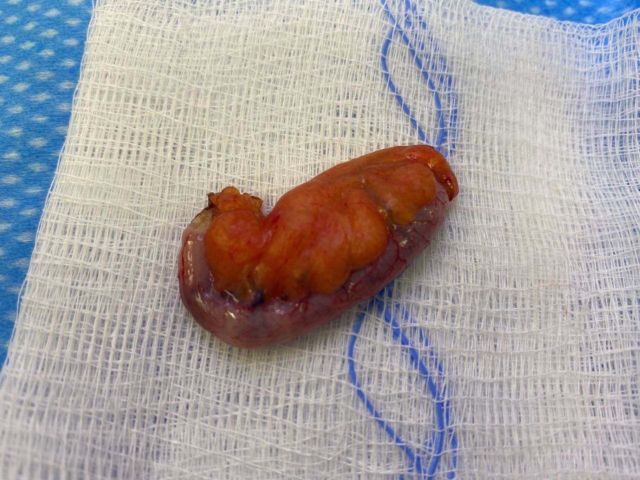 Mariann Barajas Grijalva-6