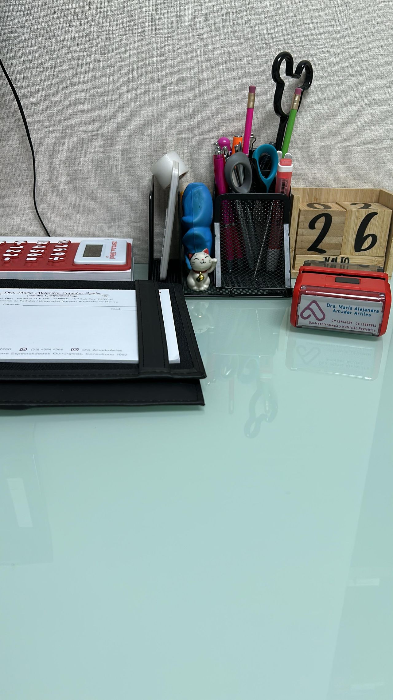 Maria Alejandra Amador Artiles-2