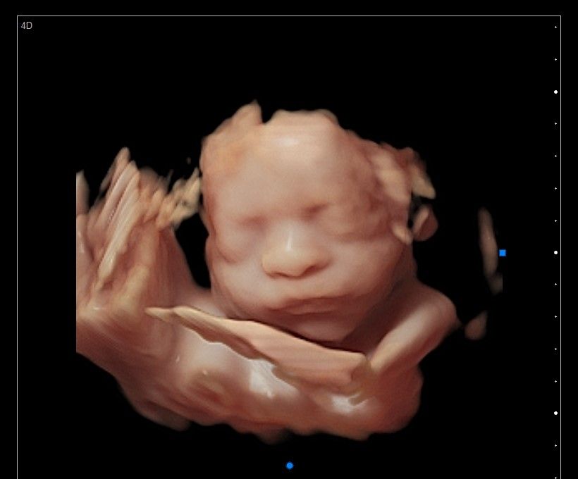 Cynthia Gina Morales Domínguez-8