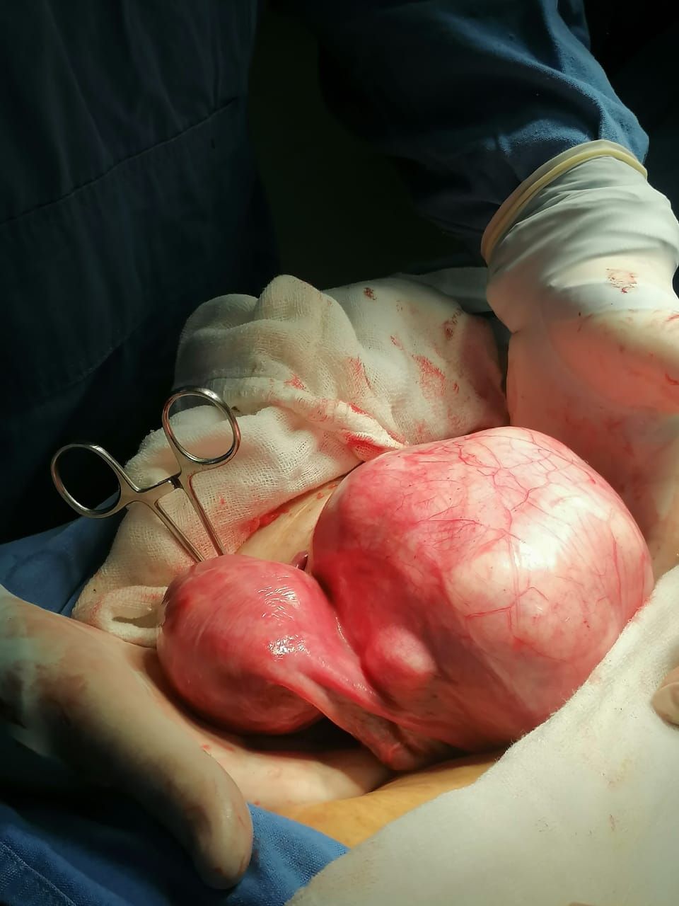 Rodolfo López Sánchez-6