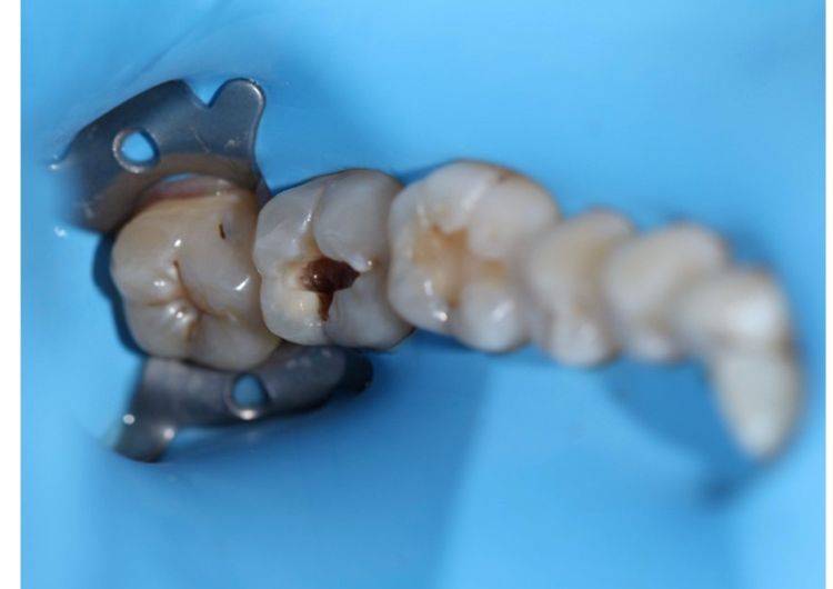 Laura Huerta Solano-2