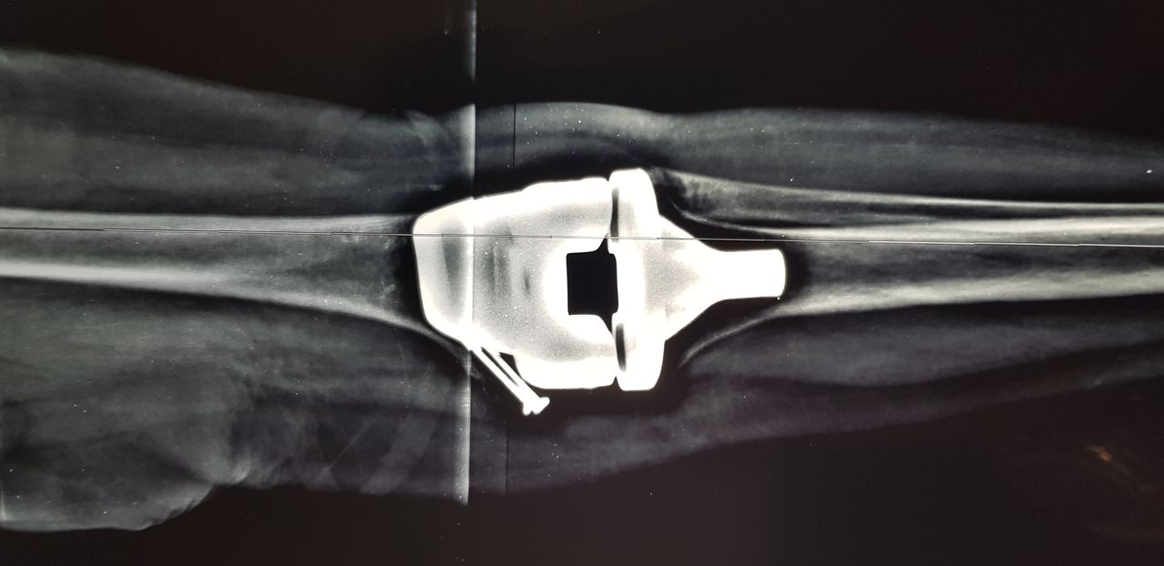 José Emmanuel Vargas Jasso-25