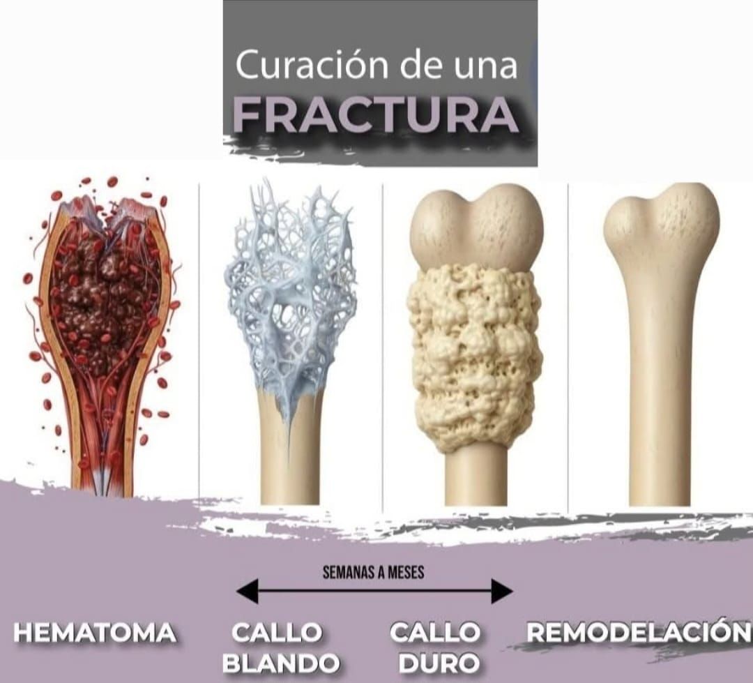 Luis Lidiel Lazo Mentado-4