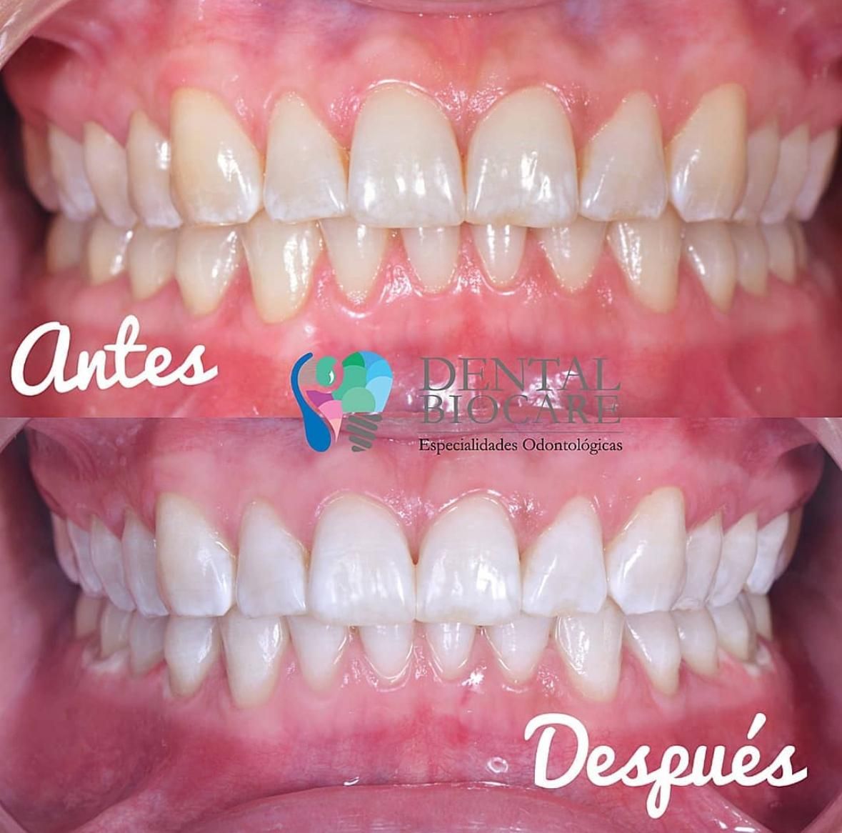 Luis Armando Mendívil Barreras-6