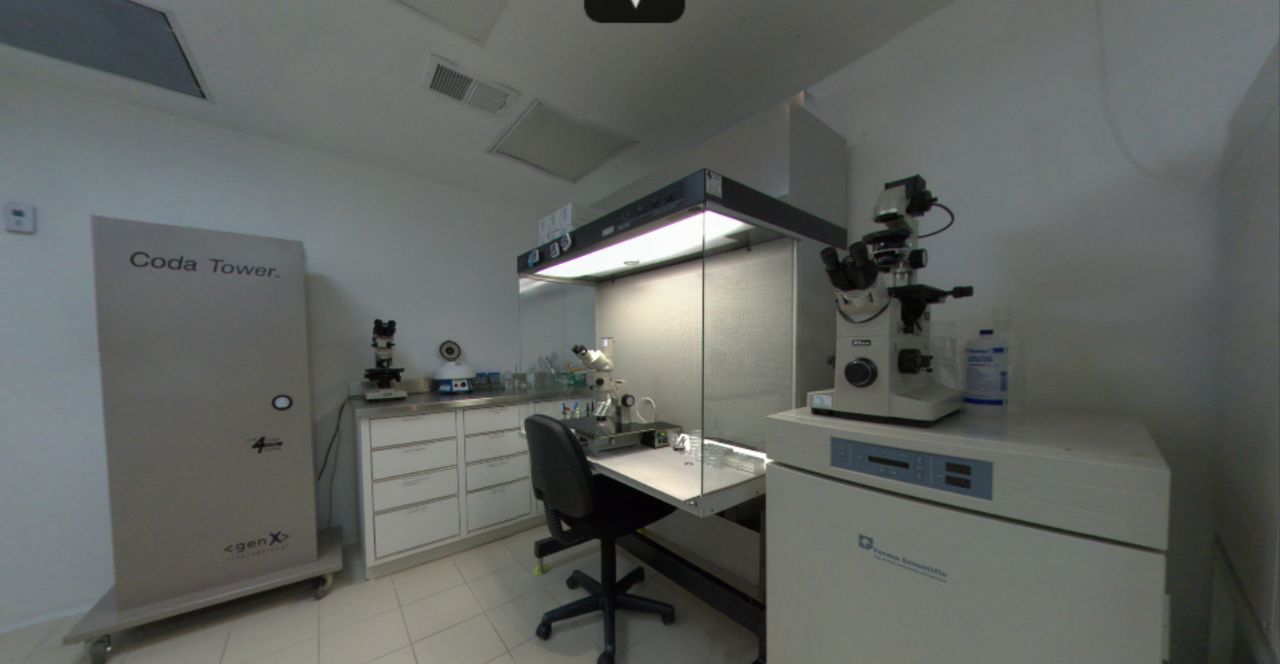 Demetrio E. Zertuche Gonzalez-3