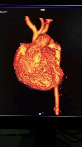 Luis Alfonso Sosa Nava-2