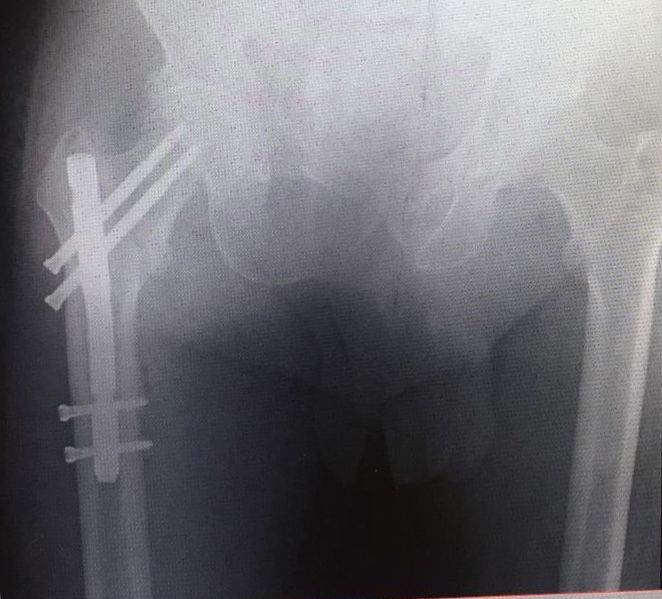 Guillermo Fernández De Lara Guevara-7