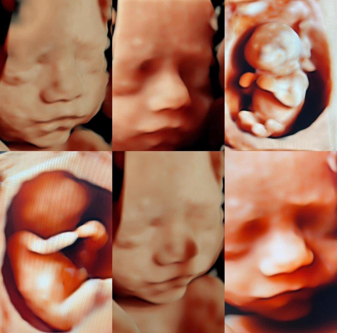 María Teresa Flores Molina-12