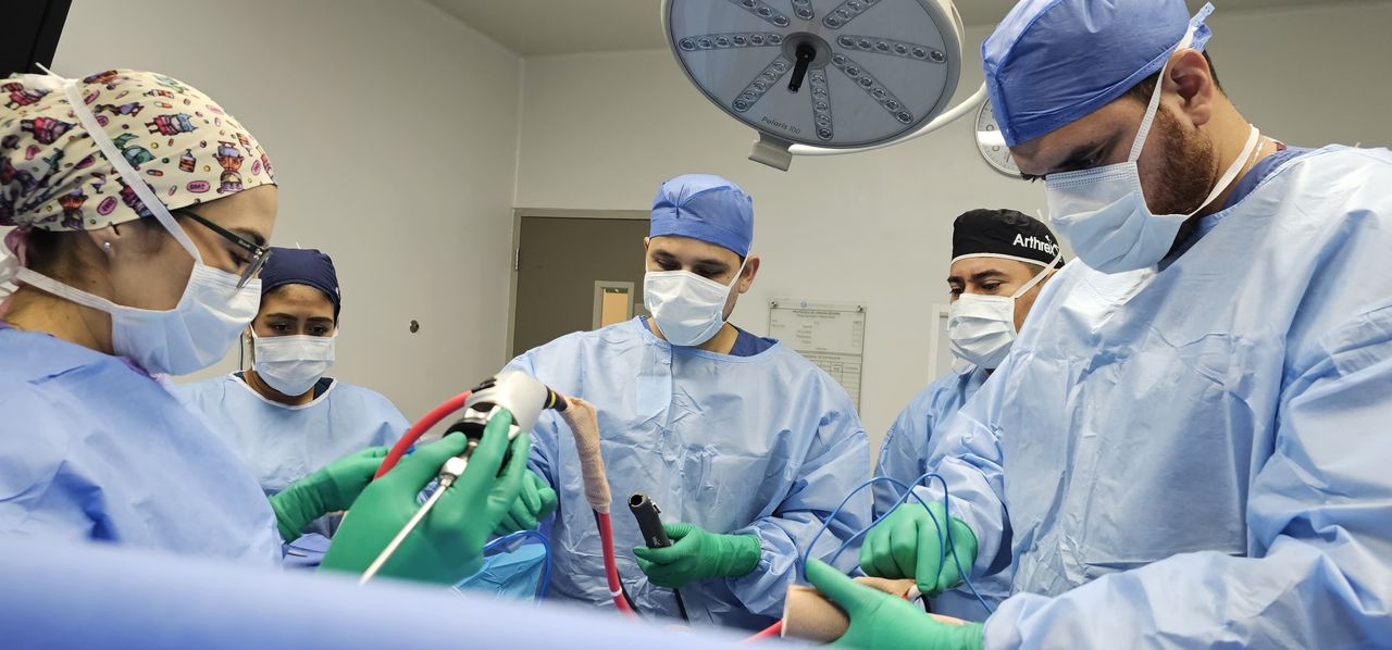 Karen Prieto Reyes-11