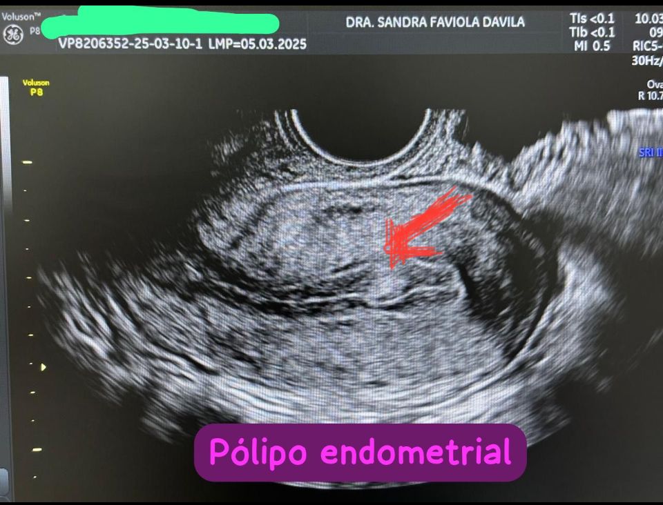 Sandra Faviola Dávila Molina-48