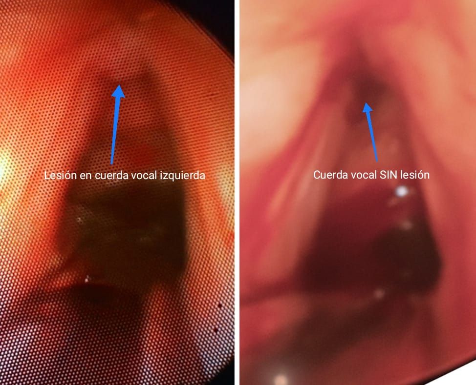 Martin Alberto Hernandez Cardenas-20