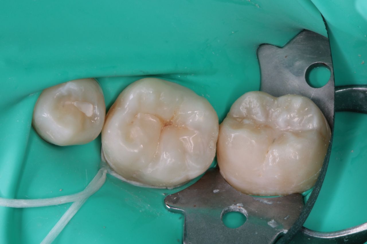 David Alan Escamilla Álvarez-7