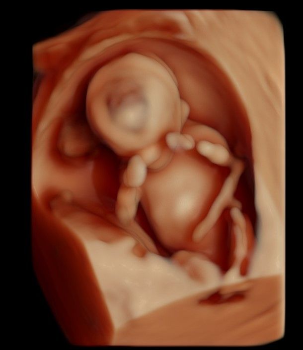 Gabriela Delgado Serrano-2