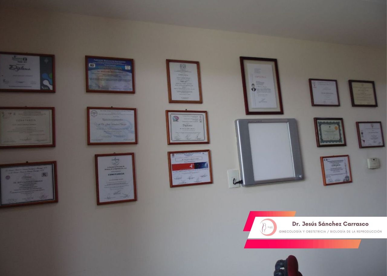 Jesús Sánchez Carrasco-17