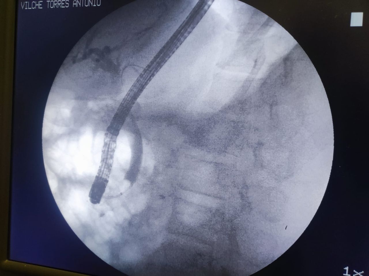 Diana Maritza Valladares Castoño-6