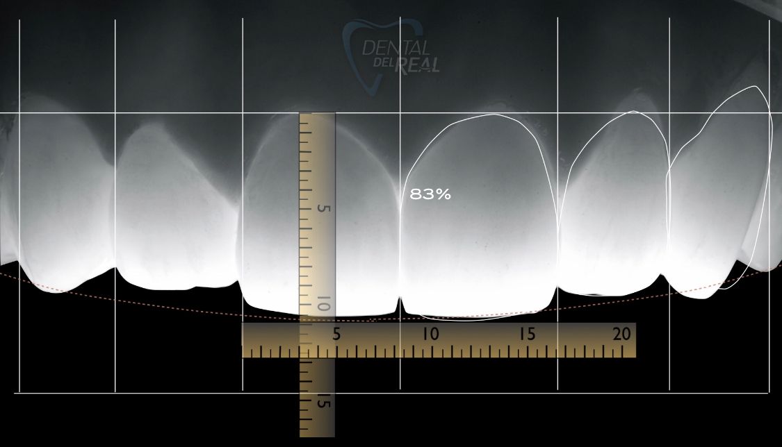 José Francisco Del Real García-77
