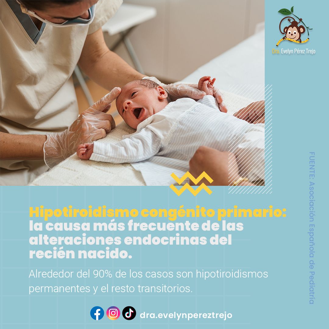 Evelyn Perez Trejo-72