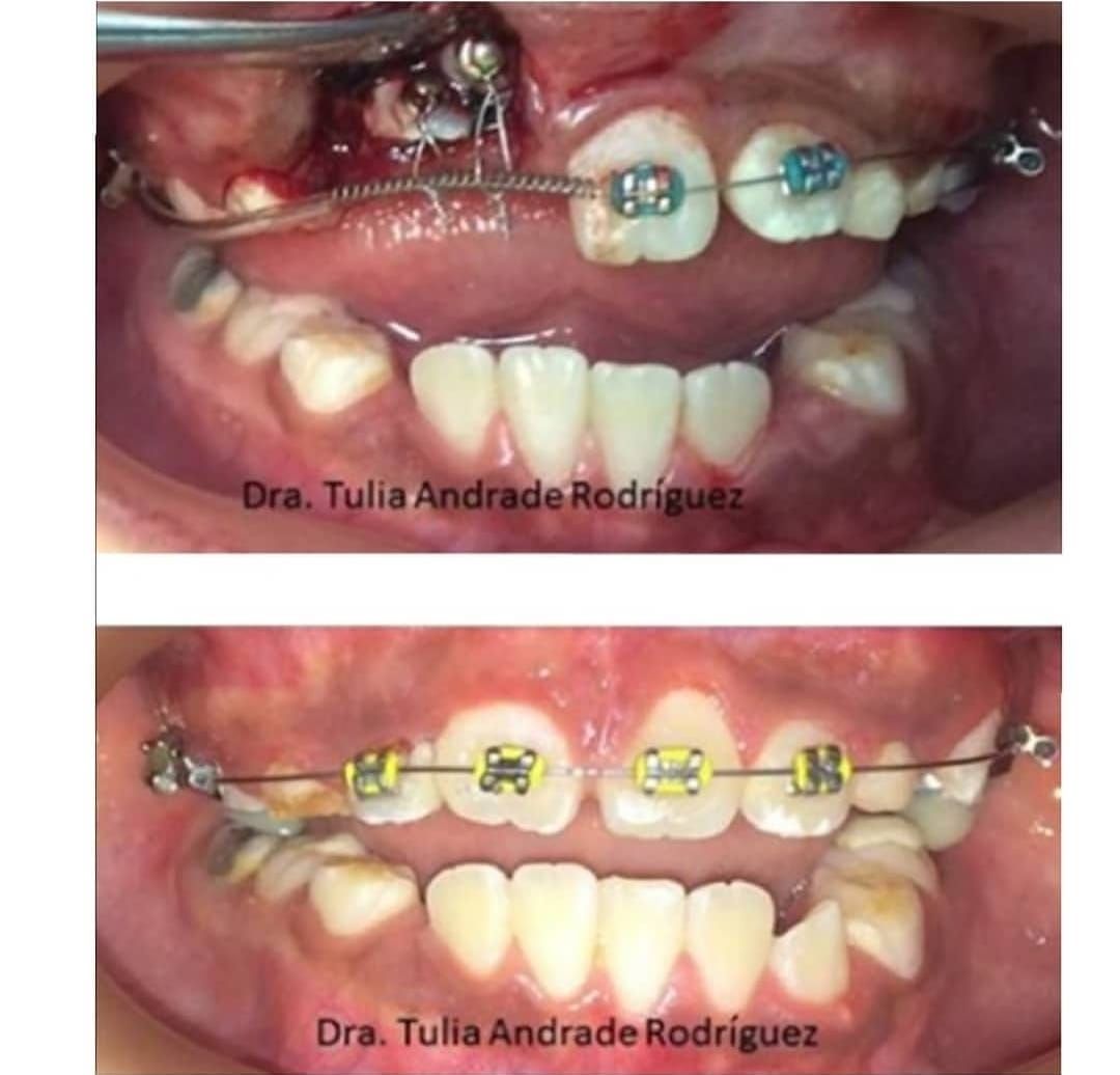 Tulia Andrade Rodriguez-6