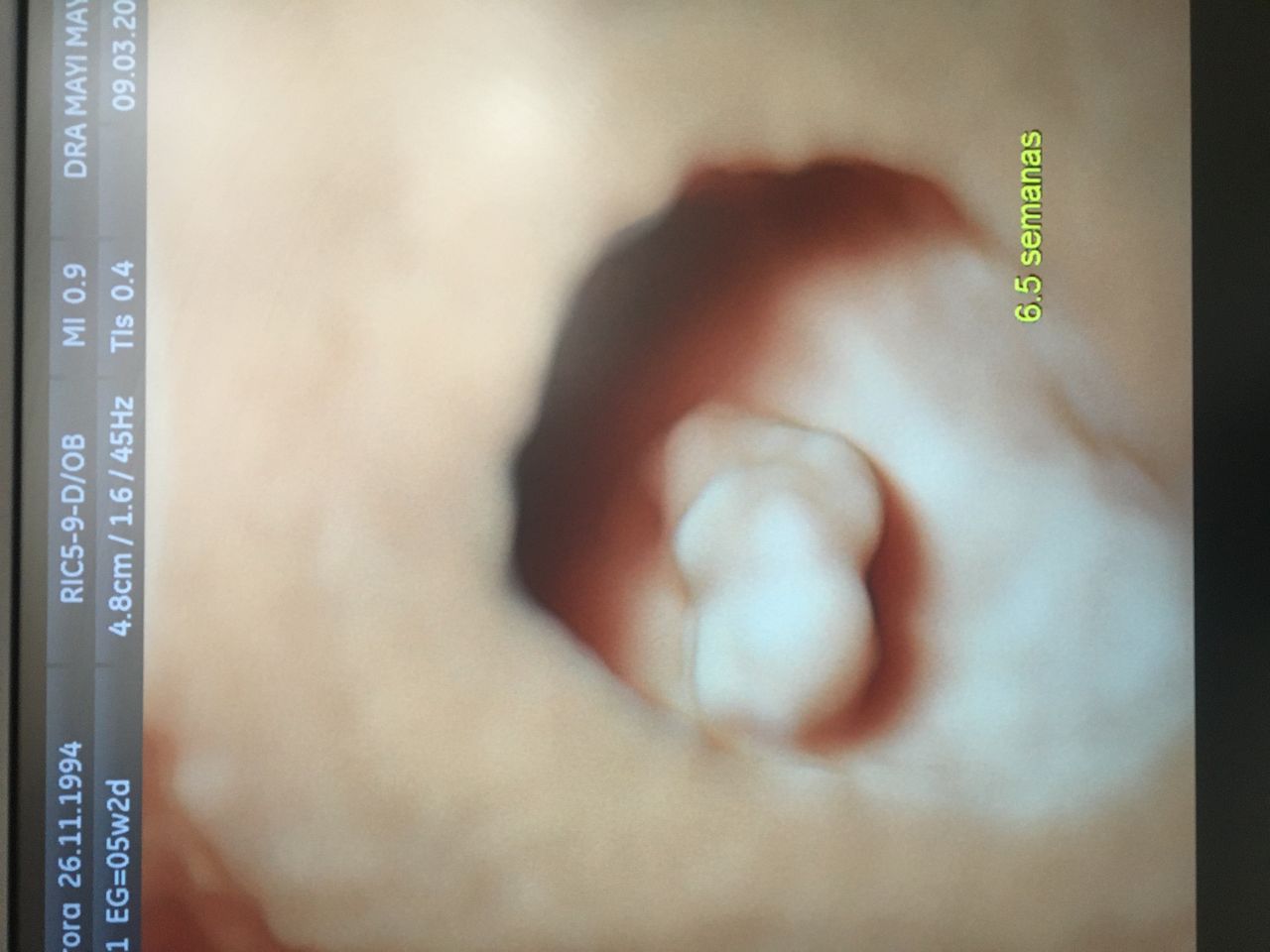 Mayi Mayret Mesquiti-21