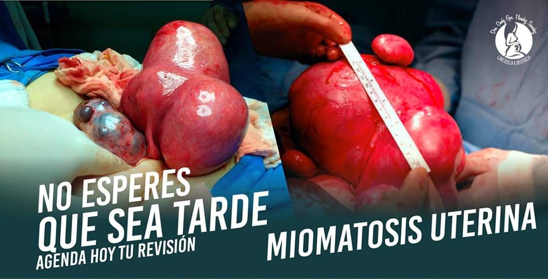 Cindy Guadalupe Flandez Sanchez-3