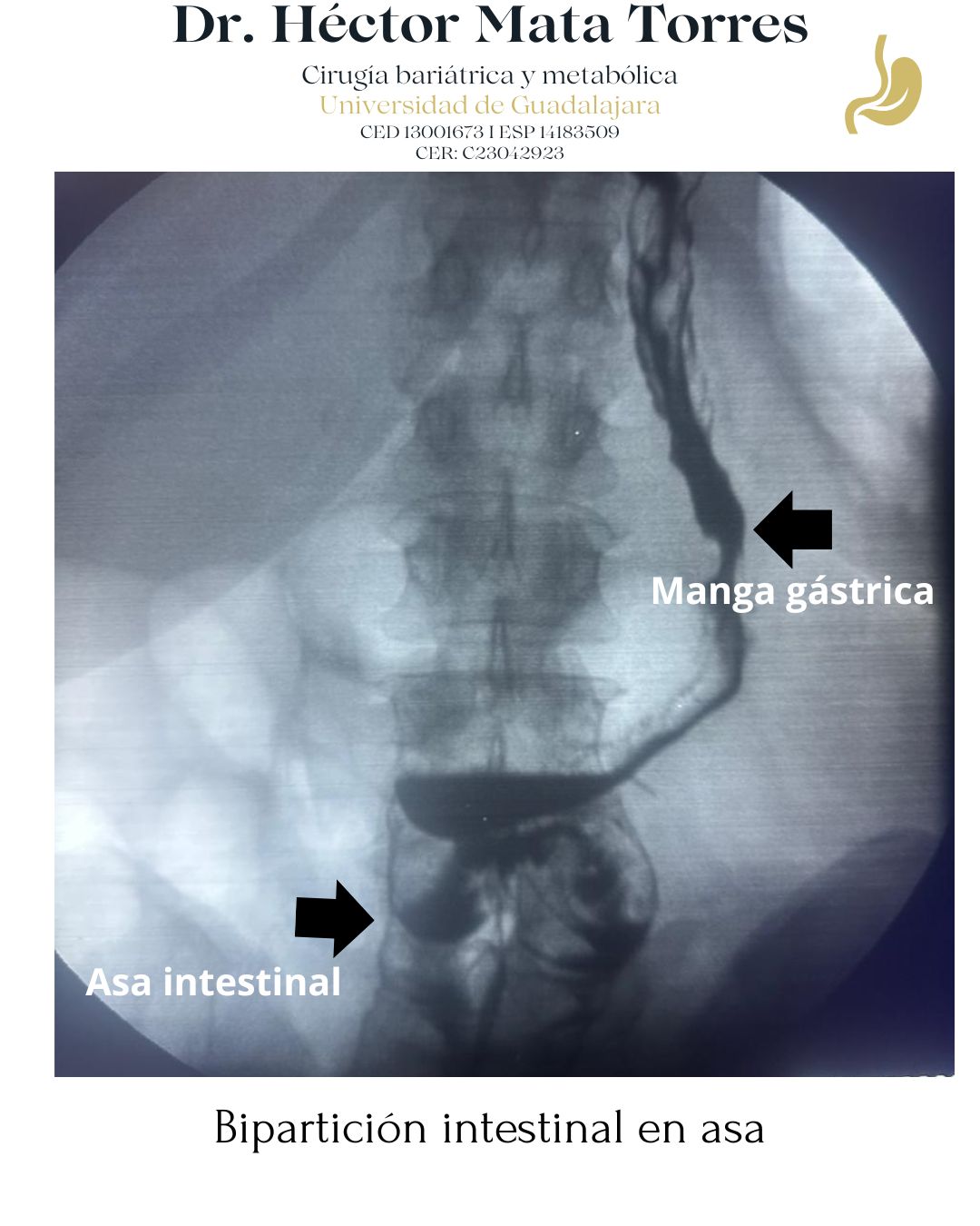 Héctor Mata Torres-11