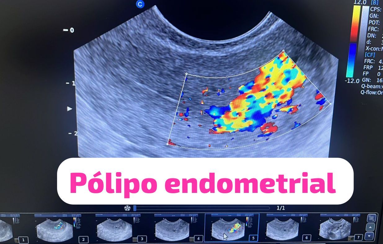 Sandra Faviola Dávila Molina-5