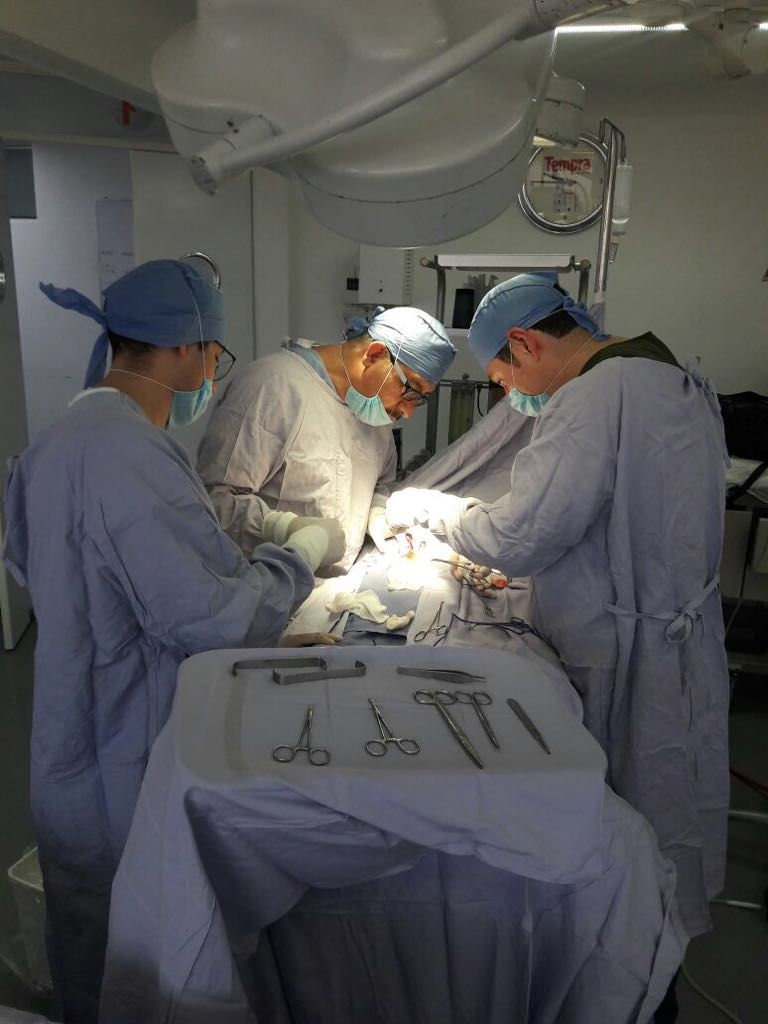 Jose Luis Medina Cerriteño-13