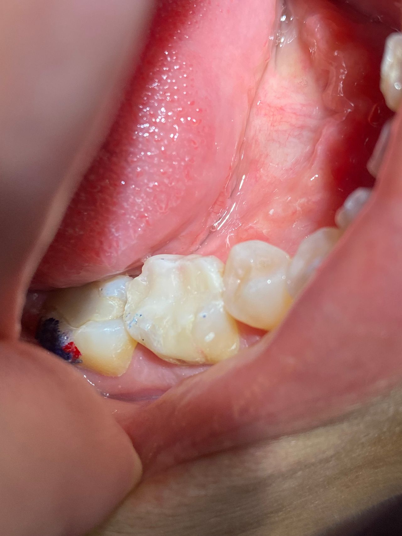 Andrea Montserrat Castellanos Ramírez-8