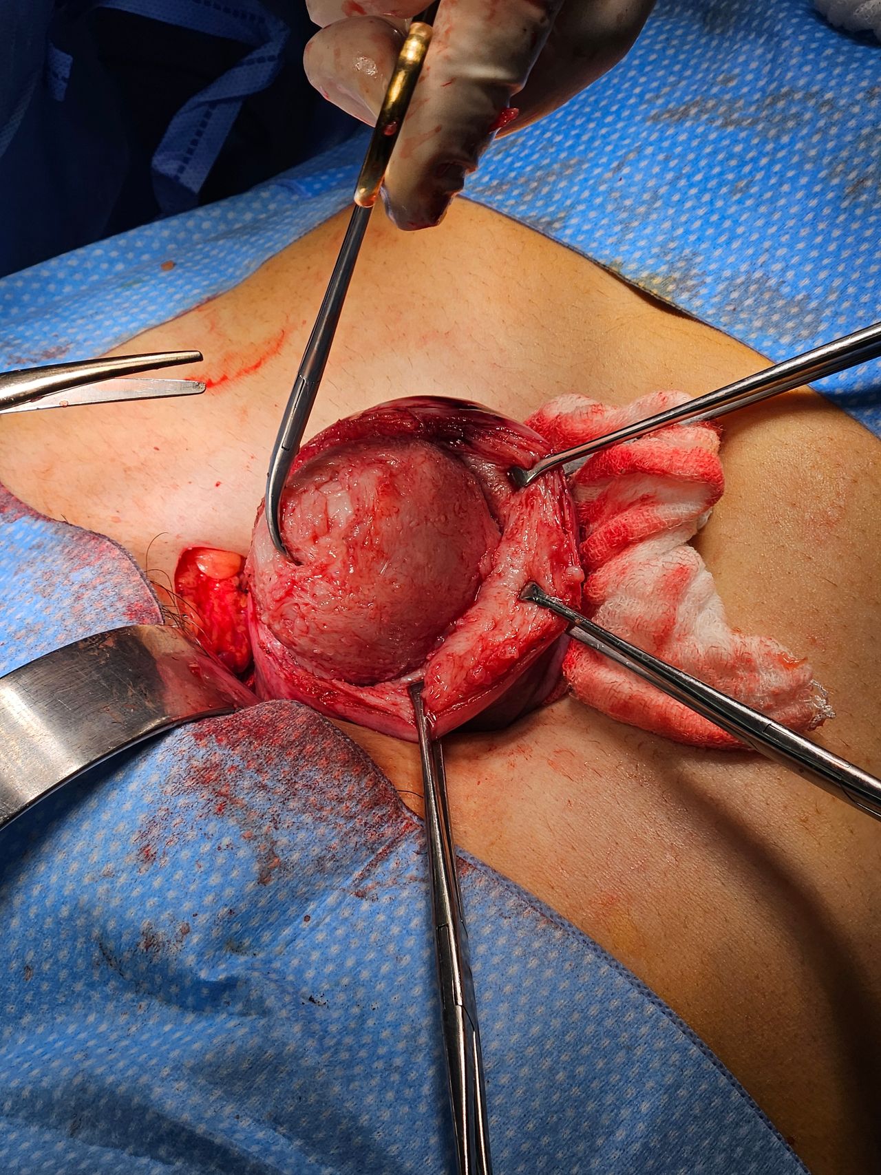 Jorge Alberto Rodriguez Pezino-24