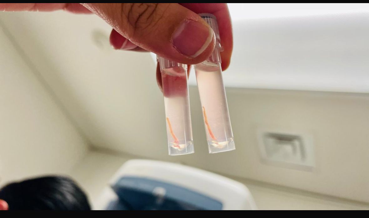 Paloma Alejandra Jara Ramos-3