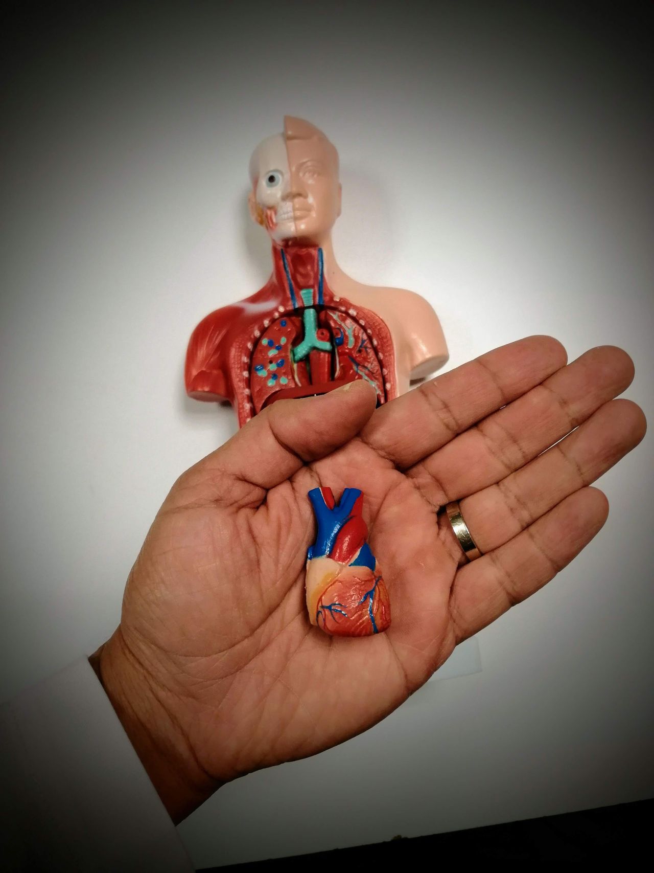 Juan Antonio Vega Rosales-7