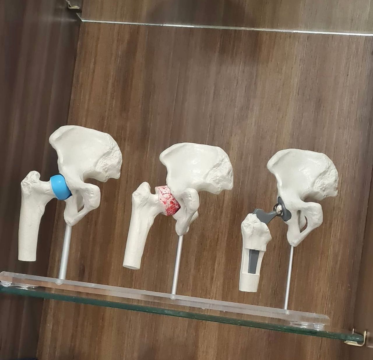 Fernando Osorio Ontiveros-2