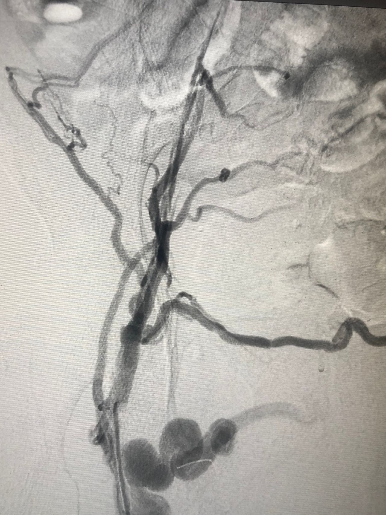 Miguel Abraham Lara Perez-12