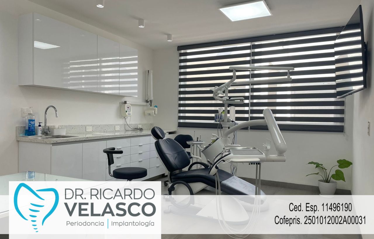 Ricardo Velasco Avelar-0