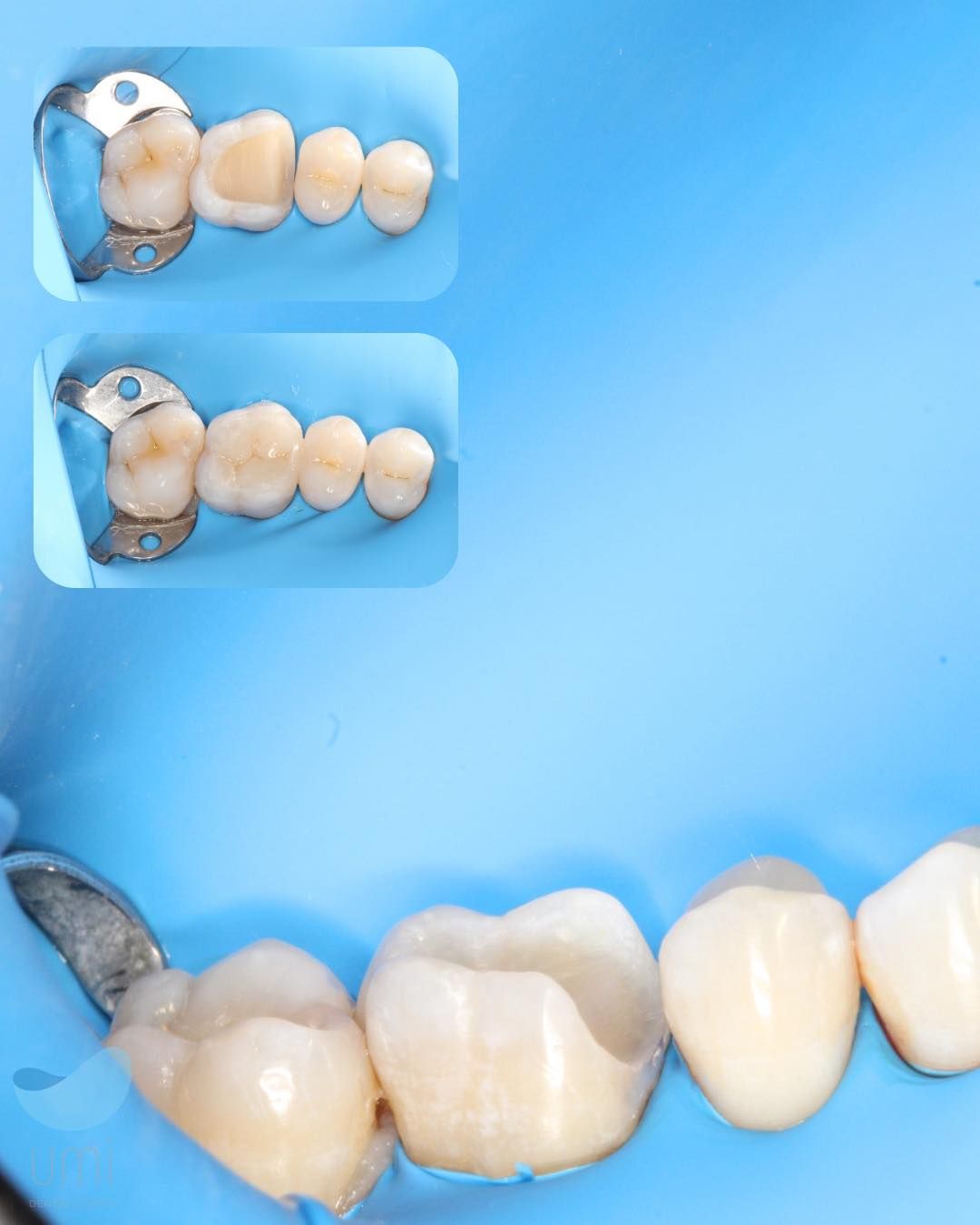 Anahí Bahena Sosa-2