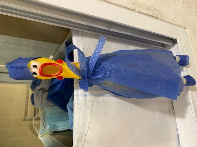 Karelyn Morales Arroyo-17