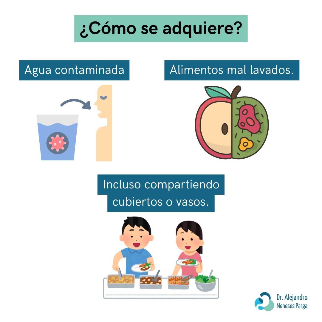 Alejandro Meneses Parga-39