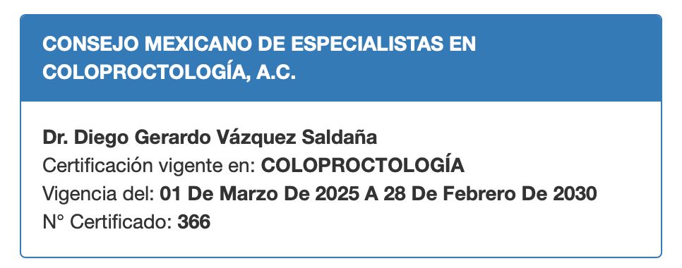Diego Gerardo Vázquez Saldaña-13