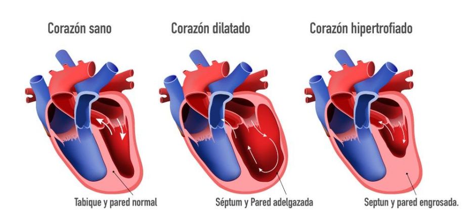 Derek Harrison Ragle-14