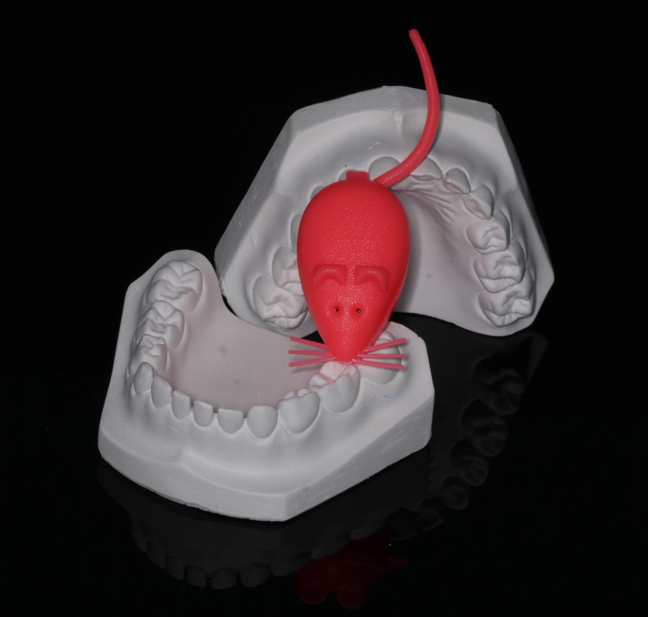 Adriana Ramos Carrillo-0