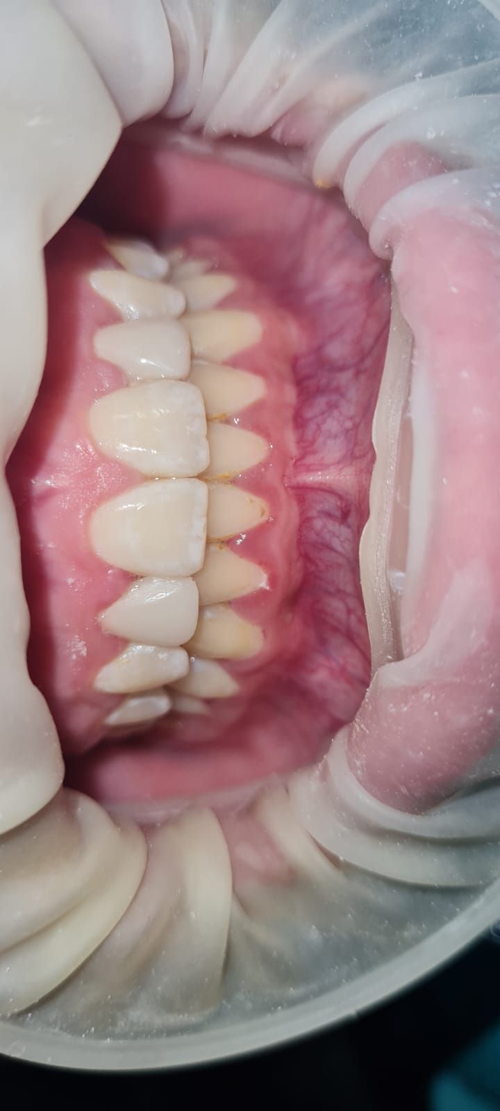 Andrea Cervantes Urenda-18