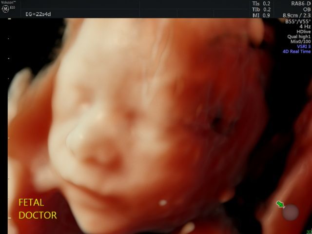 Jesús Manuel Ortega Flores-0