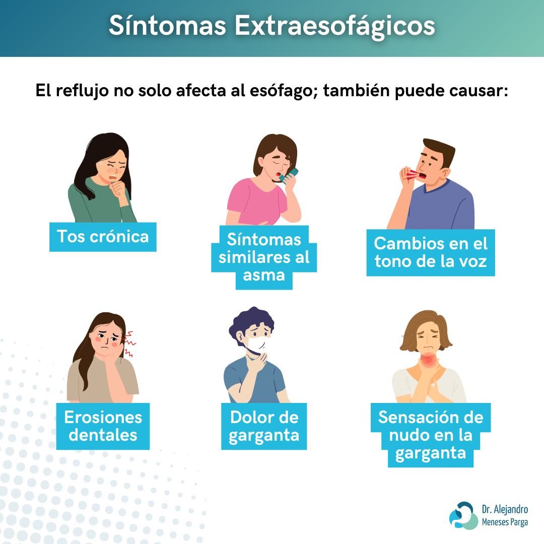 Alejandro Meneses Parga-33