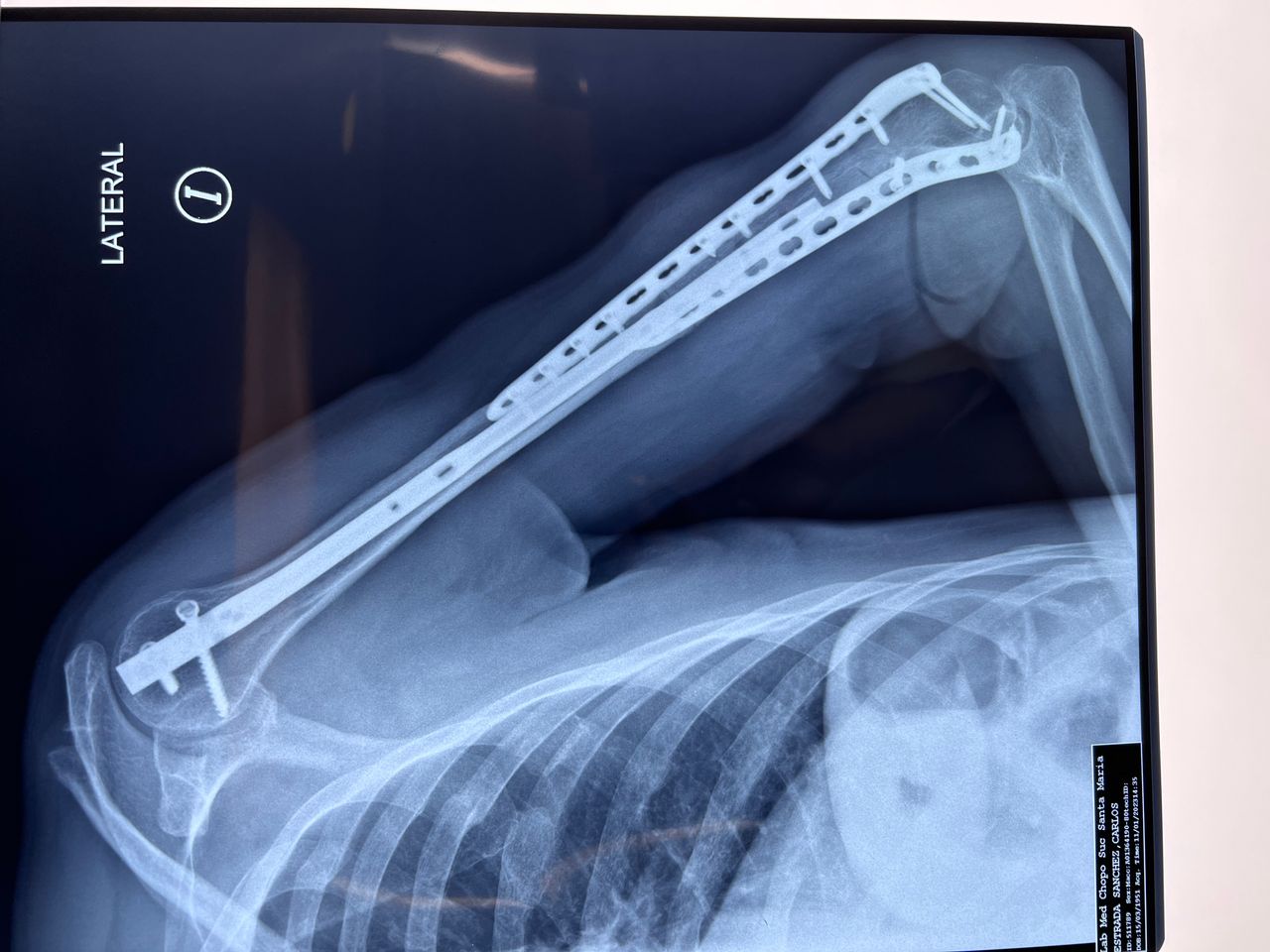 Avelino Aguilar Merlo-5