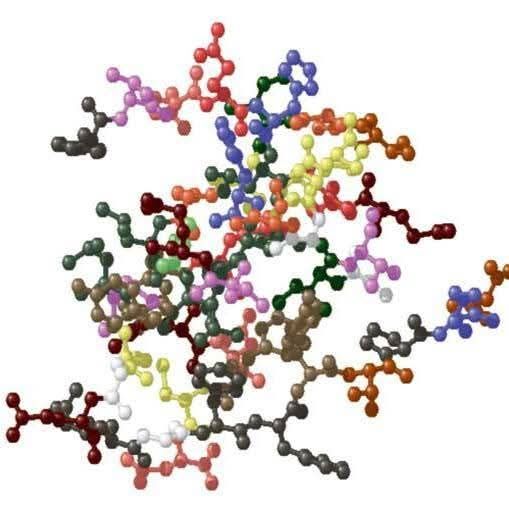 Claudia Susana Gutiérrez Gutiérrez-1