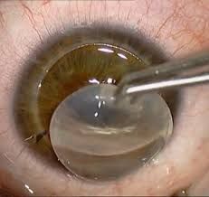 Adrián Corona Macías-0