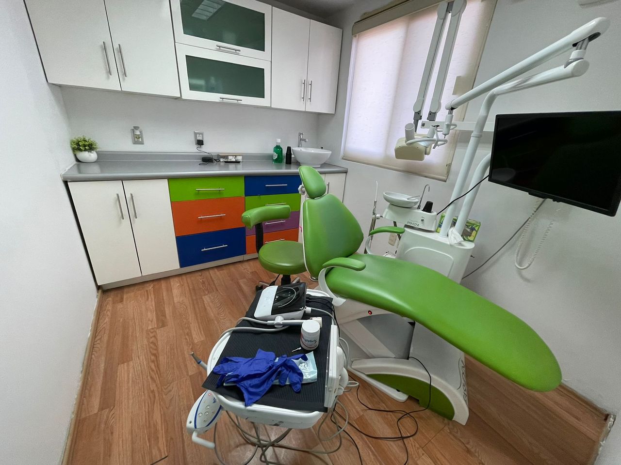 Dafne De Los Santos-3