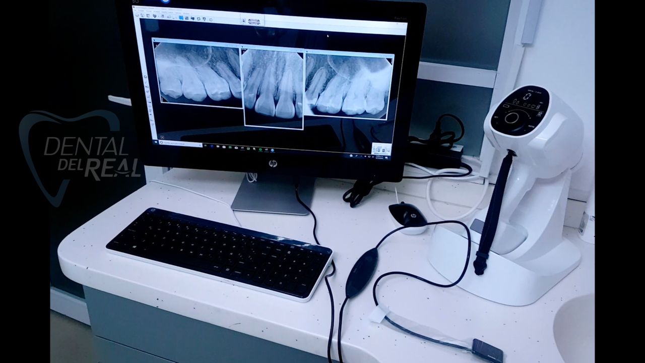 José Francisco Del Real García-80